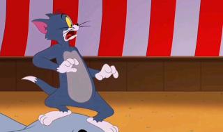 猫和老鼠消失的22集 猫和老鼠消失的22集